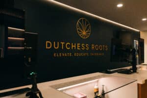 Dutchess Roots